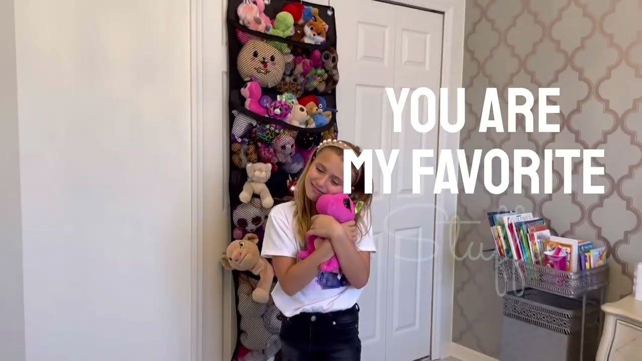 Honeyera® The Original Stuffed Animal Storage (Patented)